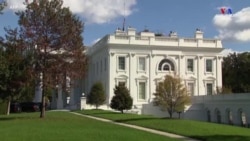 Սպիտակ տան դրոշները ծածանվում են կիսով չափ՝ ԱՄՆ պատերազմի հերոս և Սևամորթ առաջին պետքարտուղար Քոլին Փաուելի մահից հետո: