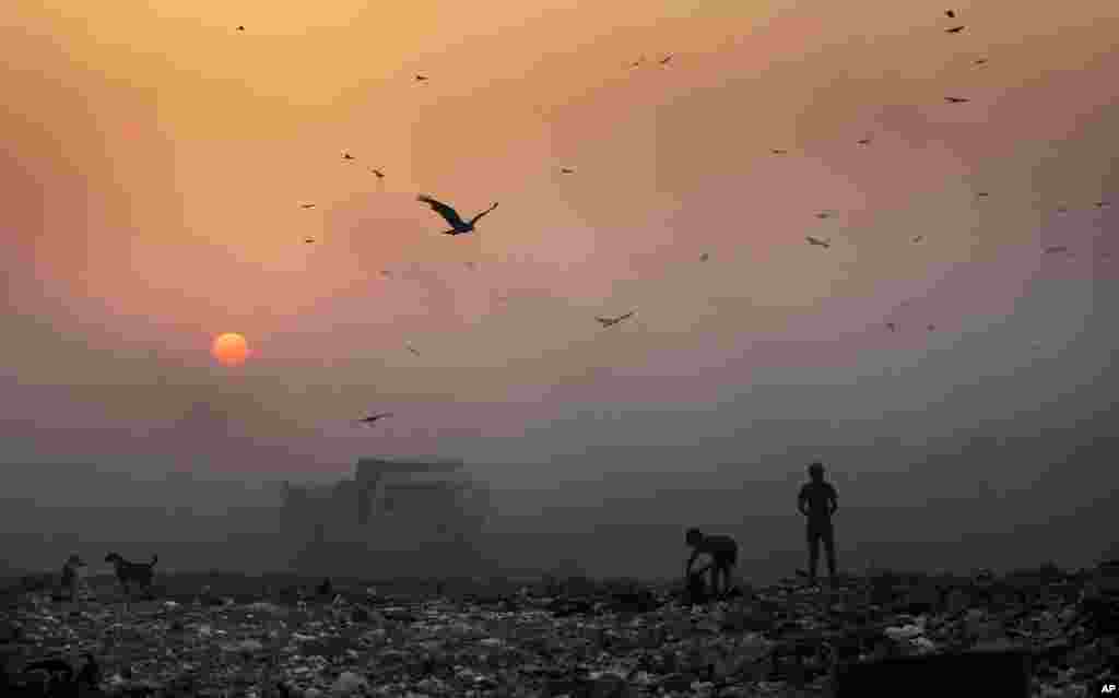 Havo ifloslanishi - global muammo. Dehli ko&#39;chalarida.