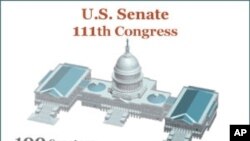 د امریکې انتخباتو کې ډیموکریټک گوند د مشکل سره مخ ښکارې