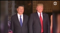 Торговля и КНДР – главные темы визита Трампа в Китай
