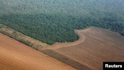 FILE - An aerial view shows the Amazon rainforest (top) bordered by land cleared to prepare for the planting of soybeans, in Mato Grosso state, western Brazil, Oct. 2, 2015. 