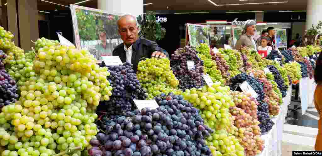 Festîvala Tirî li Duhok