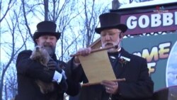 Ֆիլ արջամուկը գուշակել է, որ ԱՄՆ-ում ձմեռը շարունակվելու է ևս վեց շաբաթ