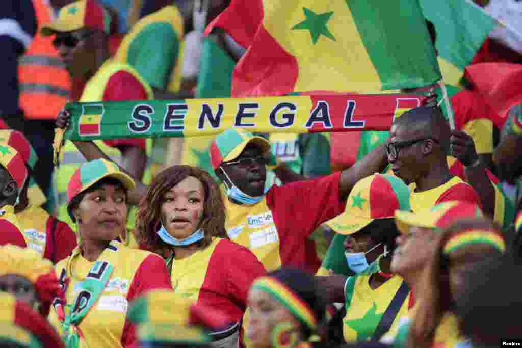 Senegal fans in Cameroon, Feb. 2, 2022.