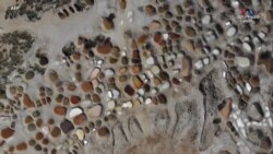 Եմենի մի խումբ կանայք, հավաքում են աղի սպիտակ բյուրեղներ ափամերձ ջրավազաններից