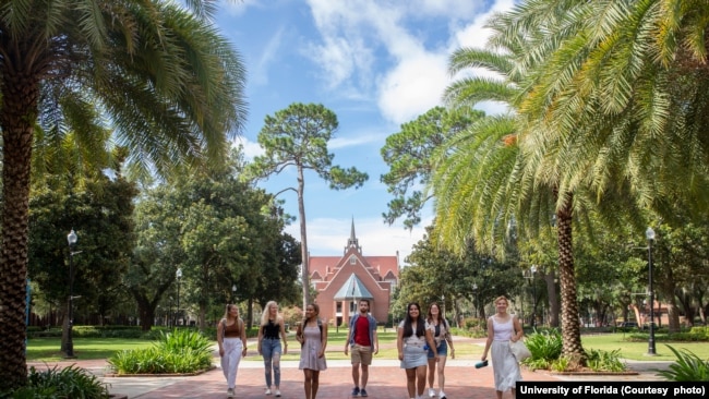 Students walk on the University of Florida campus.