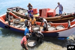 Nelayan membawa hasil tangkapan hari itu di sebuah desa nelayan di Lhokseumawe, Aceh pada 23 Januari 2022. (Foto: AFP/Azwar Ipank)