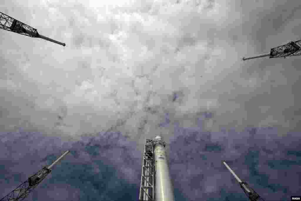 A view from the ground looking up shows the SpaceX Falcon 9 rocket with Dragon capsule attached after it was lifted into the vertical position during a rollout demonstration test, Cape Canaveral Air Force Station, Florida October 2, 2012. (NASA/Jim Grossm