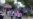 16x9 Image