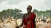 In this photo taken July 31, 2017, a South Sudanese man tends to his herd of cattle outside the town of Rumbek, South Sudan. With forced marriages, cows are used for payments and dowries.