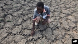 FILE - Last Zimaniwa feels the broken ground at a spot which is usually a reliable water source that has dried up due to lack of rains in the village of Chivi , Zimbabwe, Jan. 29, 2016.