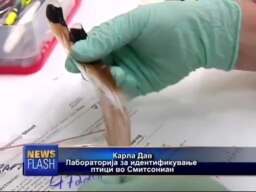 Експертиза на пердуви