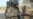 Indian Army: 3 of its Workers Killed in Kashmir Attack