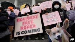 Animal rights activists attend a protest rally supporting the government-led dog meat banning bill at the National Assembly in Seoul, South Korea, Jan. 9, 2024. 