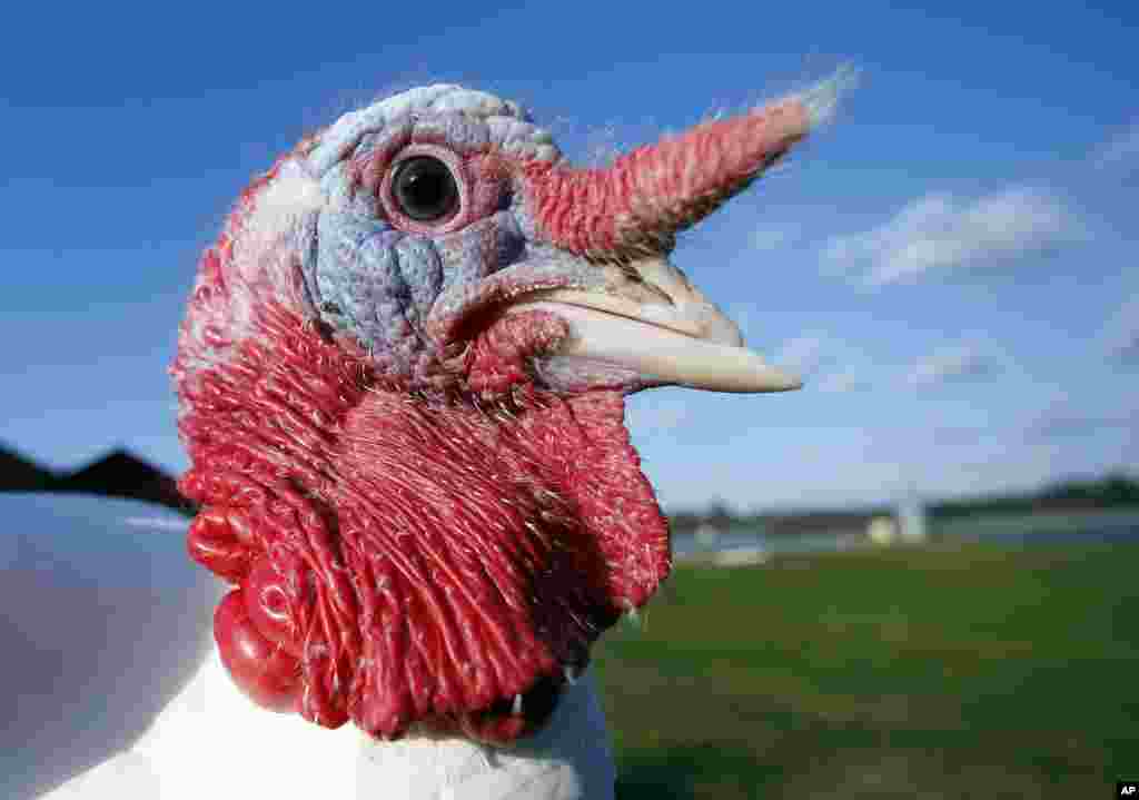 Massachussetts shtati&nbsp;