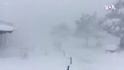 暴風雪襲擊美國中西部  (粵語)