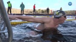 Buz Gibi Suda Yüzme Yarışı 