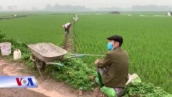 Việt Nam muốn thành một trong các nước có nền nông nghiệp hàng đầu