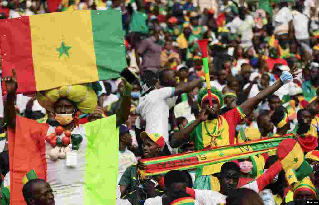 Senegal fans cheer in the stands, Feb. 6, 2022.