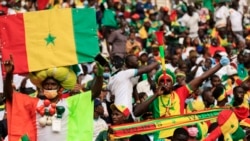 Torcedores de Senegal a comemorar a vitória no CAN