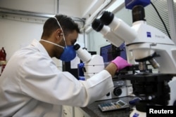 FILE - A researcher works on a sample inside a laboratory at the University of Sao Paulo's Institute of Physics for a study in which the institute claims to have discovered a 75% drop in the COVID-19 production after cells came into contact with jararacus