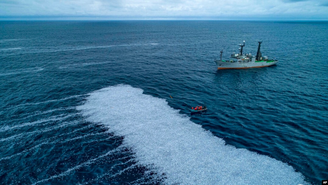 Pictured: European trawler dumps 100,000 fish in the Atlantic