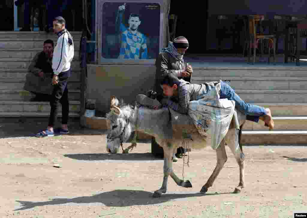 An Egyptian boy rides his donkey at a village, near Giza, on the outskirts of Cairo, Feb. 7, 2022.