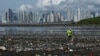 A man collects garbage, including plastic waste, at the beach of Costa del Este, in Panama City. (File)