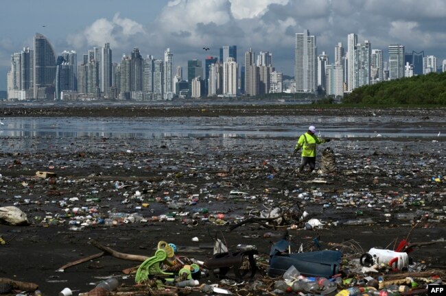 In this file photo taken on April 19, 2021 a man collects garbage, including plastic waste, at the beach of Costa del Este, in Panama City. (Photo by Luis ACOSTA / AFP)