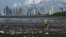 Seorang pria mengumpulkan sampah, termasuk sampah plastik, di pantai Costa del Este, Panama City, 19 April 2021. (Luis ACOSTA / AFP)