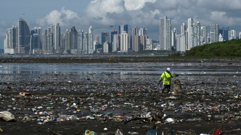 WWF: Dunia Harus Bekerja Sama Atasi Ancaman Lautan Plastik