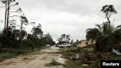 Në Parkun Lakewood duken pemët e rrëzuara nga tornadot që u shfaqën pas largimit të Uraganit Milton.