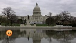 کرونا بحران میں امریکی قانون ساز کیسے کام کر رہے ہیں؟