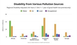 Disability from Various Pollution Sources