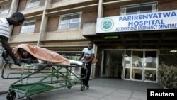 Udaba Lwengozi eZimbabwe Esilethulelwe NguMark Peters Nthambe