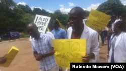 zimbabwe doctors strike