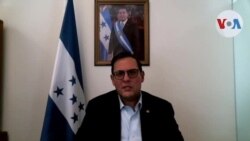 Canciller de Honduras: Daños generados por las tormentas y pandemia motivan la migración 