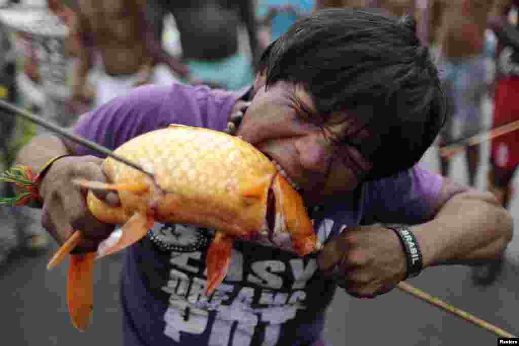 Seorang pengunjuk rasa menggigit ikan yang ditangkap dari danau di depan kantor Kehakiman Brasilia, selama demonstrasi suku Indian menentang amandemen konstitusi yang akan mengubah status tanah adat, di Brasilia, Brasil.