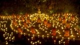 Buddhist monks pray during Makha Bucha day at Wat Pan Tao in Chiang Mai, Thailand. Makha Bucha Day honors Buddha and his teachings, and falls on the full moon day of the third lunar month.