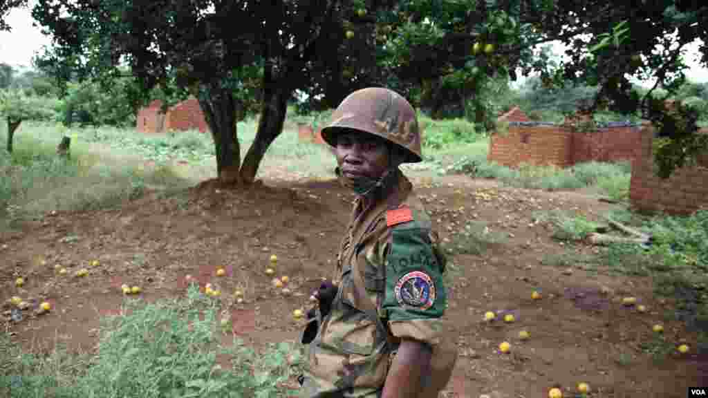 A regional peacekeeper surveys an abandoned village on the road south from bossangoa, surrounded by untouched fallen fruit, Nov. 13, 2013. (Hanna McNeish for VOA)