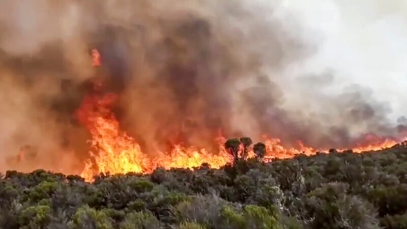 Tanzanie: incendie sur les pentes du Kilimandjaro