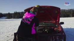 Սառցամրցարշավներ` Ալյասկայում