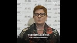 澳大利亚外长指中俄利用疫情散布虚假信息