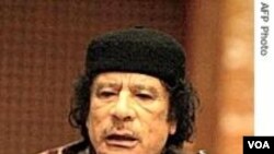 Pemimpin Libya Muammar al-Gaddafi menganjurkan warga Palestina untuk memanfaatkan momentum perubahan yang kini sedang berlangsung di Timur Tengah.