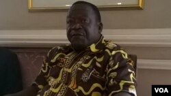 Munyori mukuru wesangano reZNLWVA, VaVictor Matemadanda