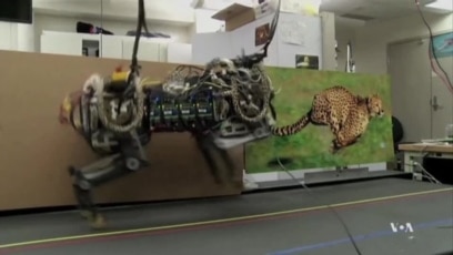 Cheetah best sale robot running