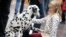 A young visitor greets a dalmatian during the "World Dog Show" dog fair in Leipzig, Germany, Nov. 8, 2017.
