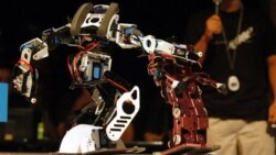 전투 로봇 논란...약초 효능 연구