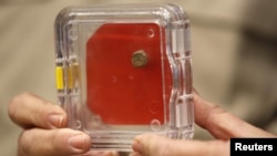 A clay imprint known as a bulla, unearthed from excavations near Jerusalem's Old City and later discovered to be from the seal of the biblical King Hezekiah, is shown during a news conference at Hebrew University in Jerusalem, Dec. 2, 2015.