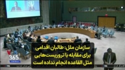 سازمان ملل: طالبان اقدامی برای مقابله با تروریست‌هایی مثل القاعده انجام نداده است